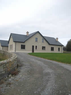 drive way with wall built using Donegal stone
